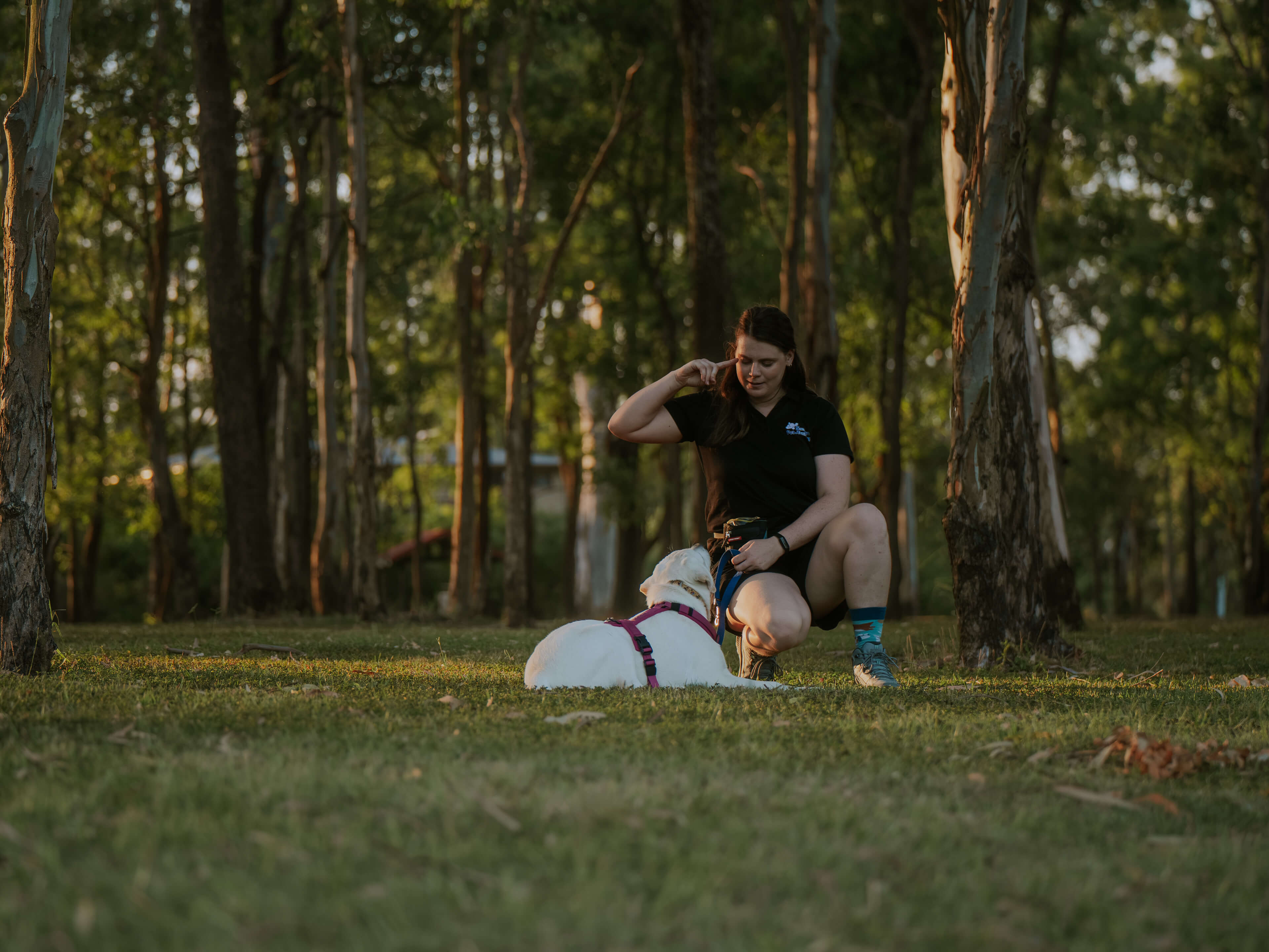 Sammy working with a dog in a tranquil outdoor setting