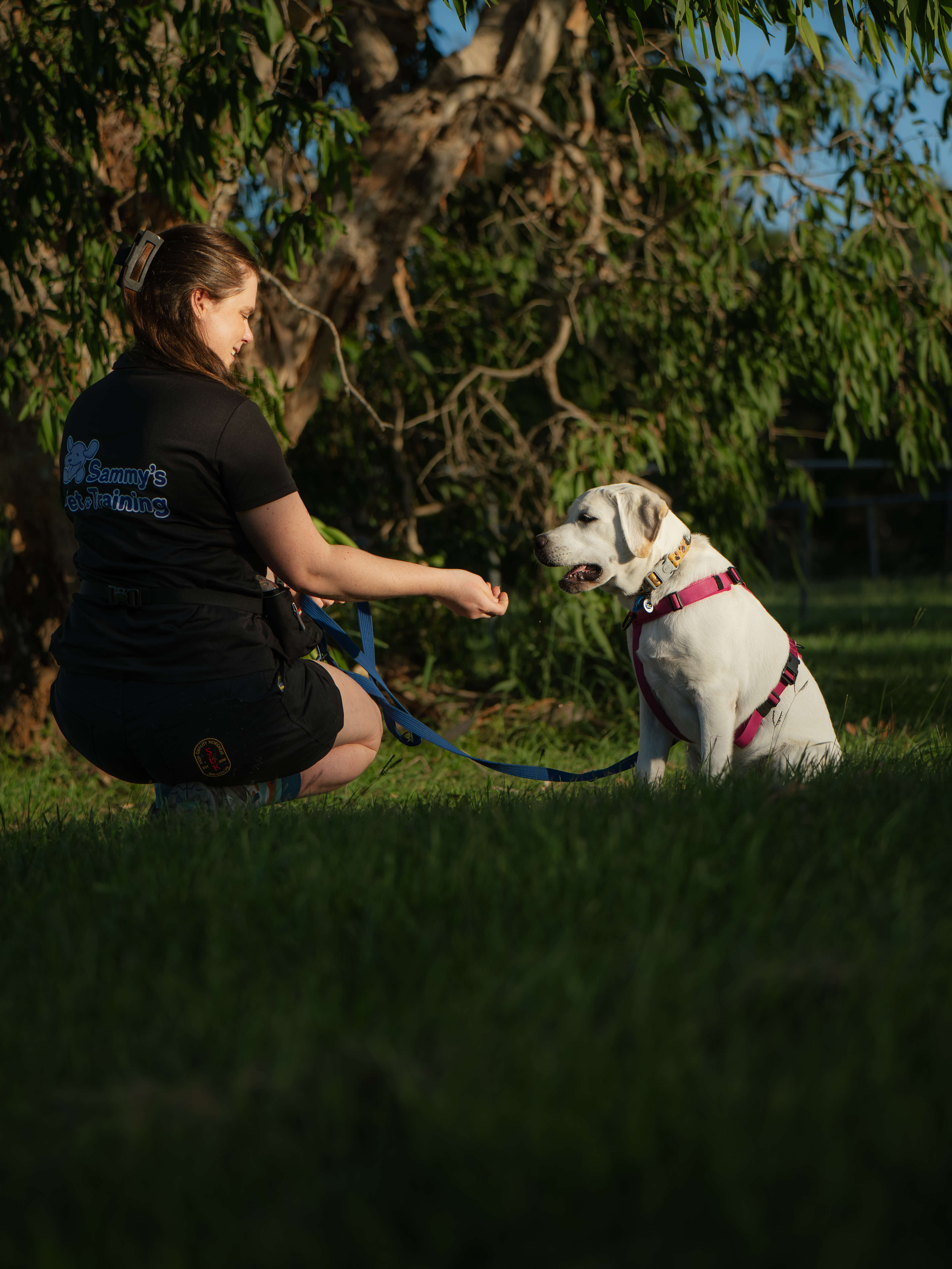Sammy training a dog outdoors using positive reinforcement