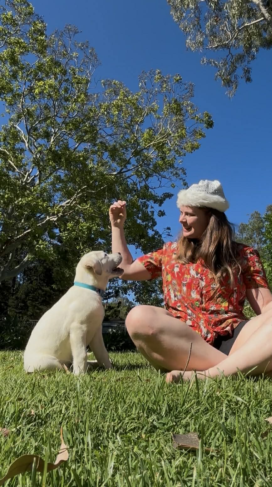 Sammy working with a young puppy in a grassy yard