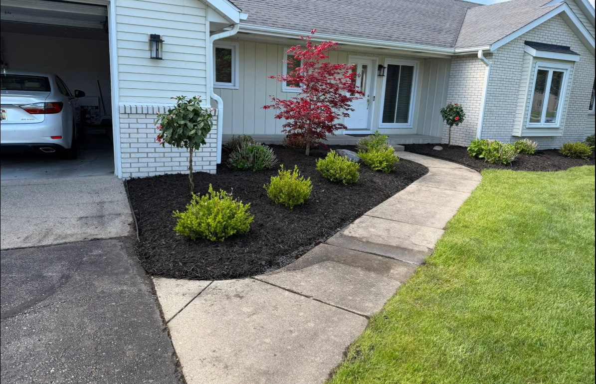 Front entry walkway with fresh mulch beds and red maple tree