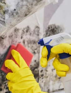 Clearance Testing (Post-Remediation Verification)