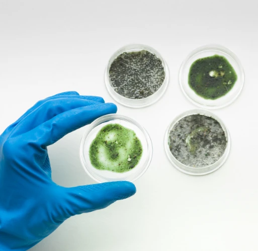 Surface & Swab Testing