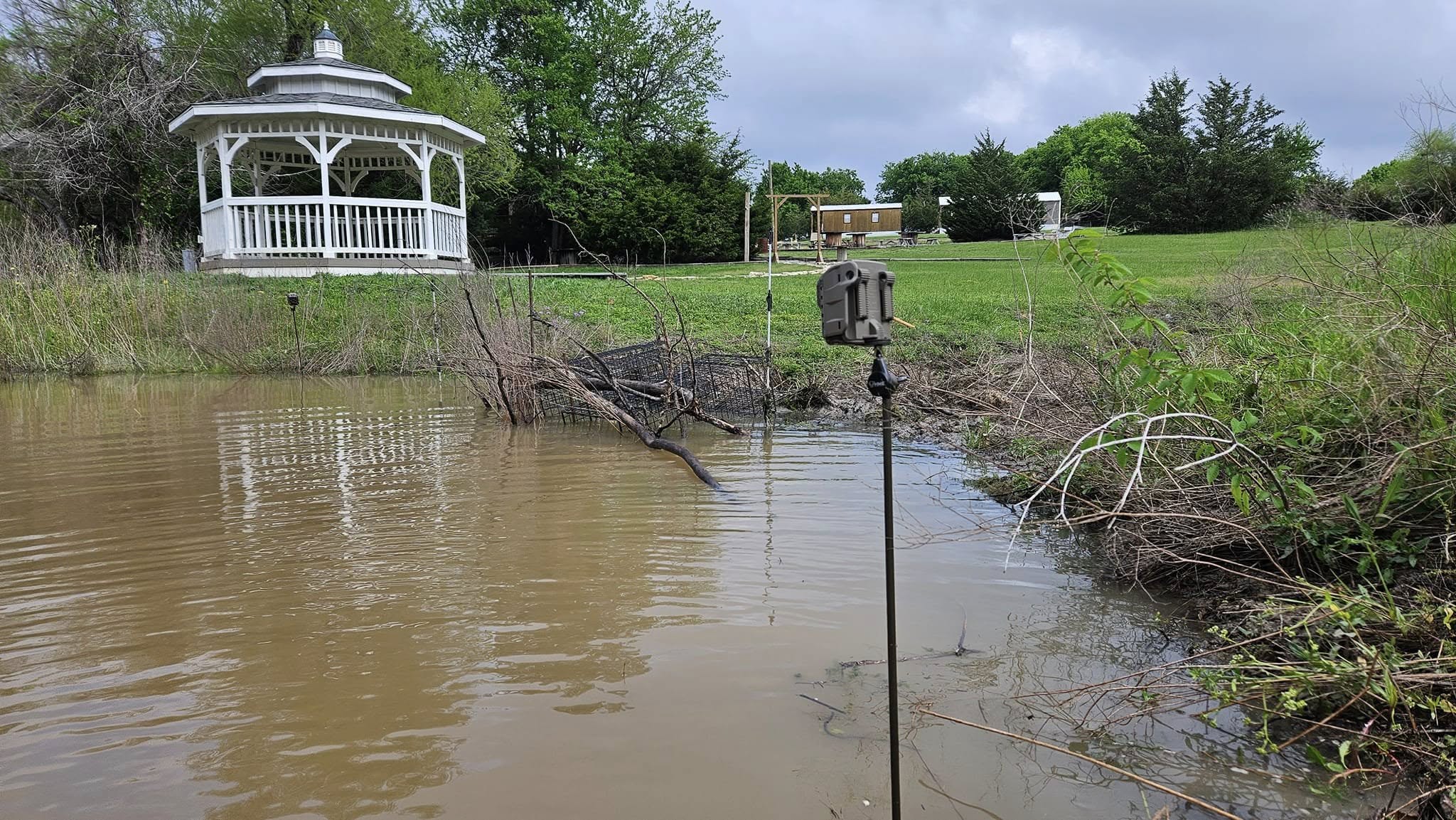 Flooded muddy pond with white wooden gazebo on grassy hill in background showing beaver dam flooding damage with trail camera on pole in foreground and cage trap partially submerged at water edge