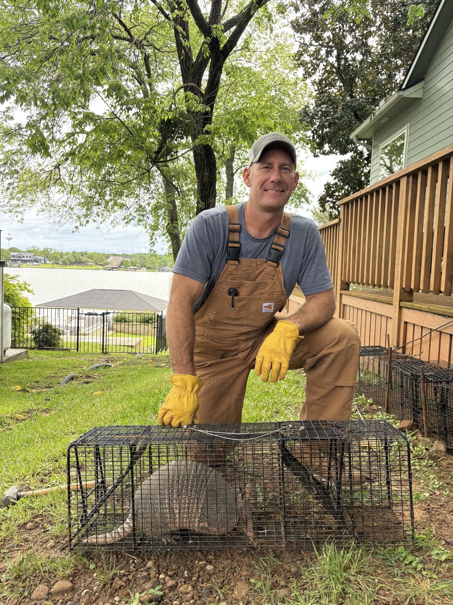 Lone Star Wildlife Solutions technician in brown overalls and yellow work gloves kneeling on grass next to wire cage trap containing captured armadillo with lake house and deck visible in background