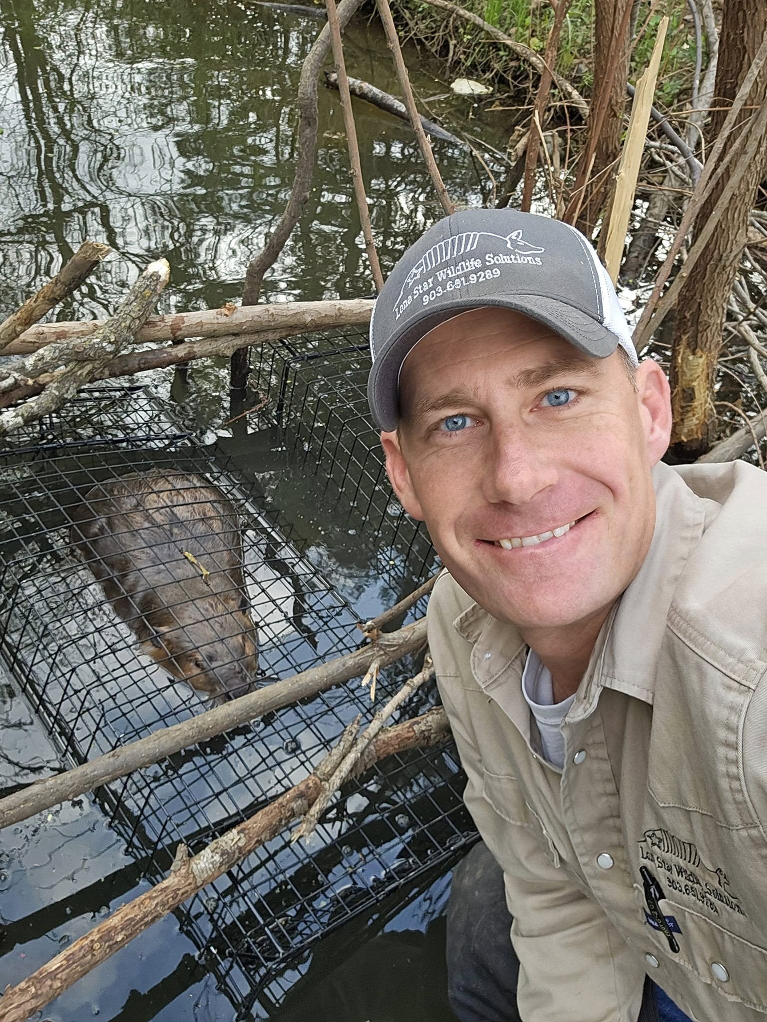 Lone Star Wildlife Solutions technician in branded cap and work shirt taking selfie next to wire cage trap containing captured beaver in shallow pond water surrounded by fallen branches
