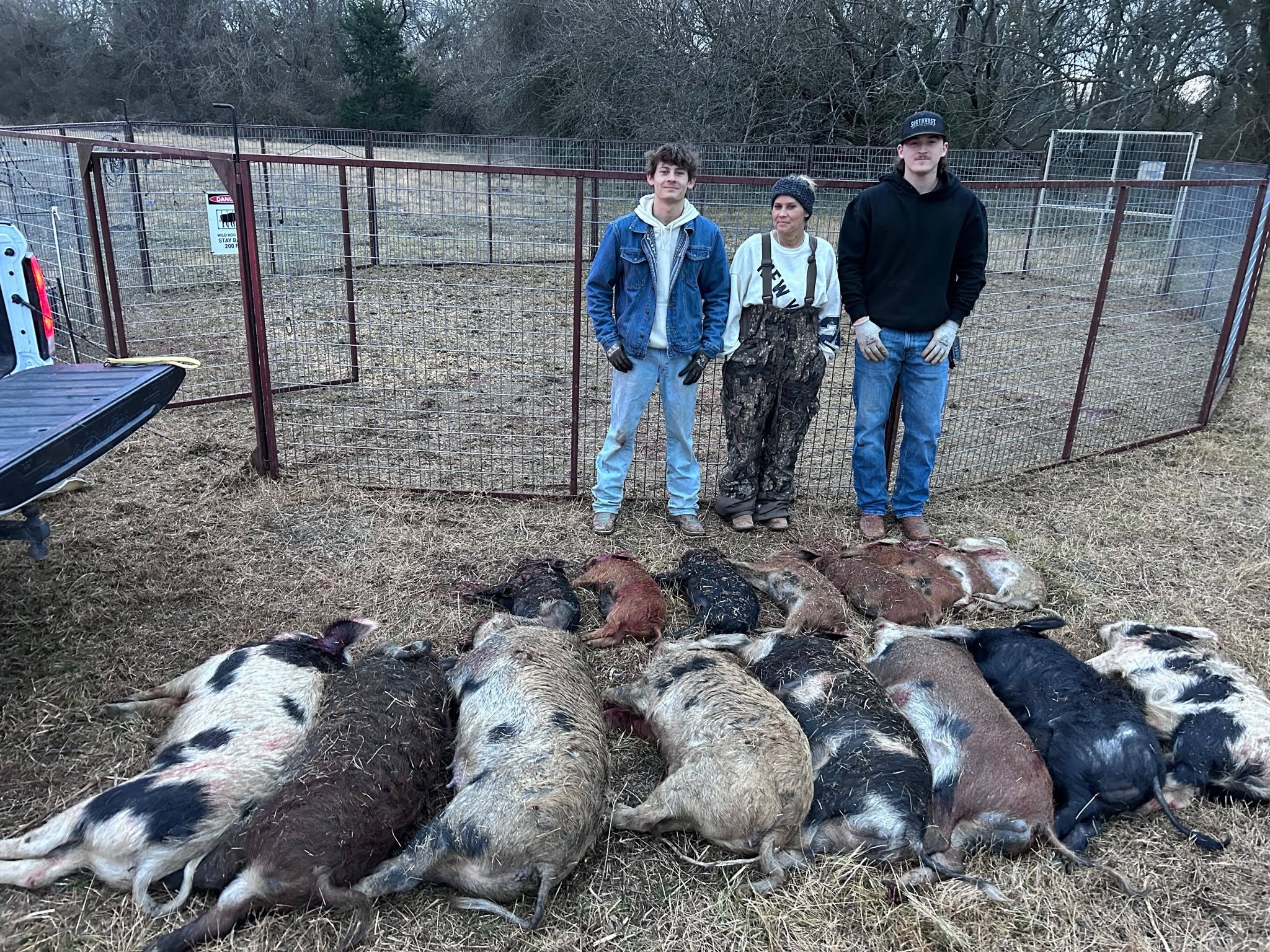 Group of four people including two men in jackets and two women in overalls standing behind wire fence with entire captured feral hog sounder of 15+ hogs laid out in rows on pasture