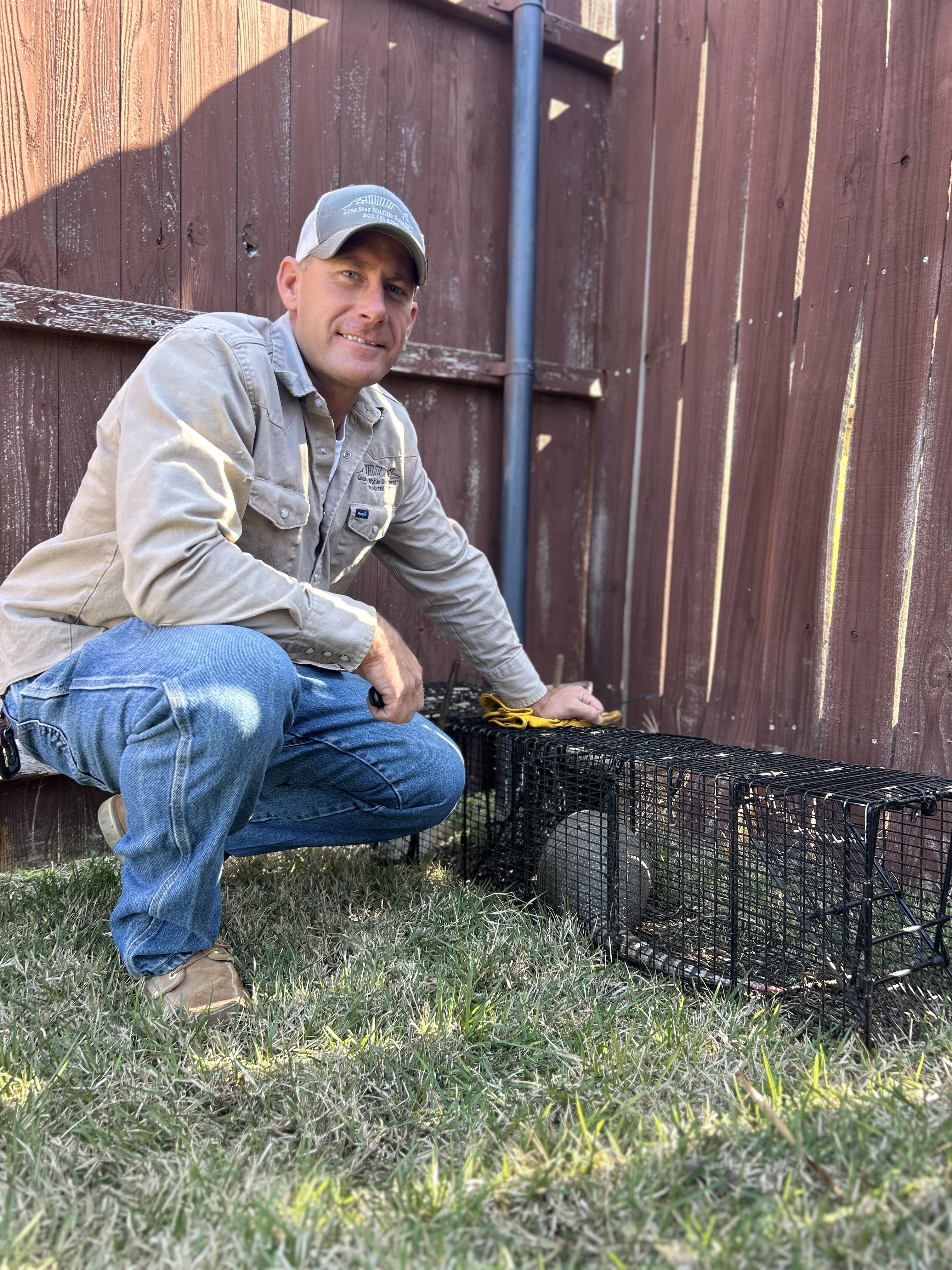 Lone Star Wildlife Solutions technician in branded shirt and cap kneeling on grass next to two wire cage traps in front of wooden fence