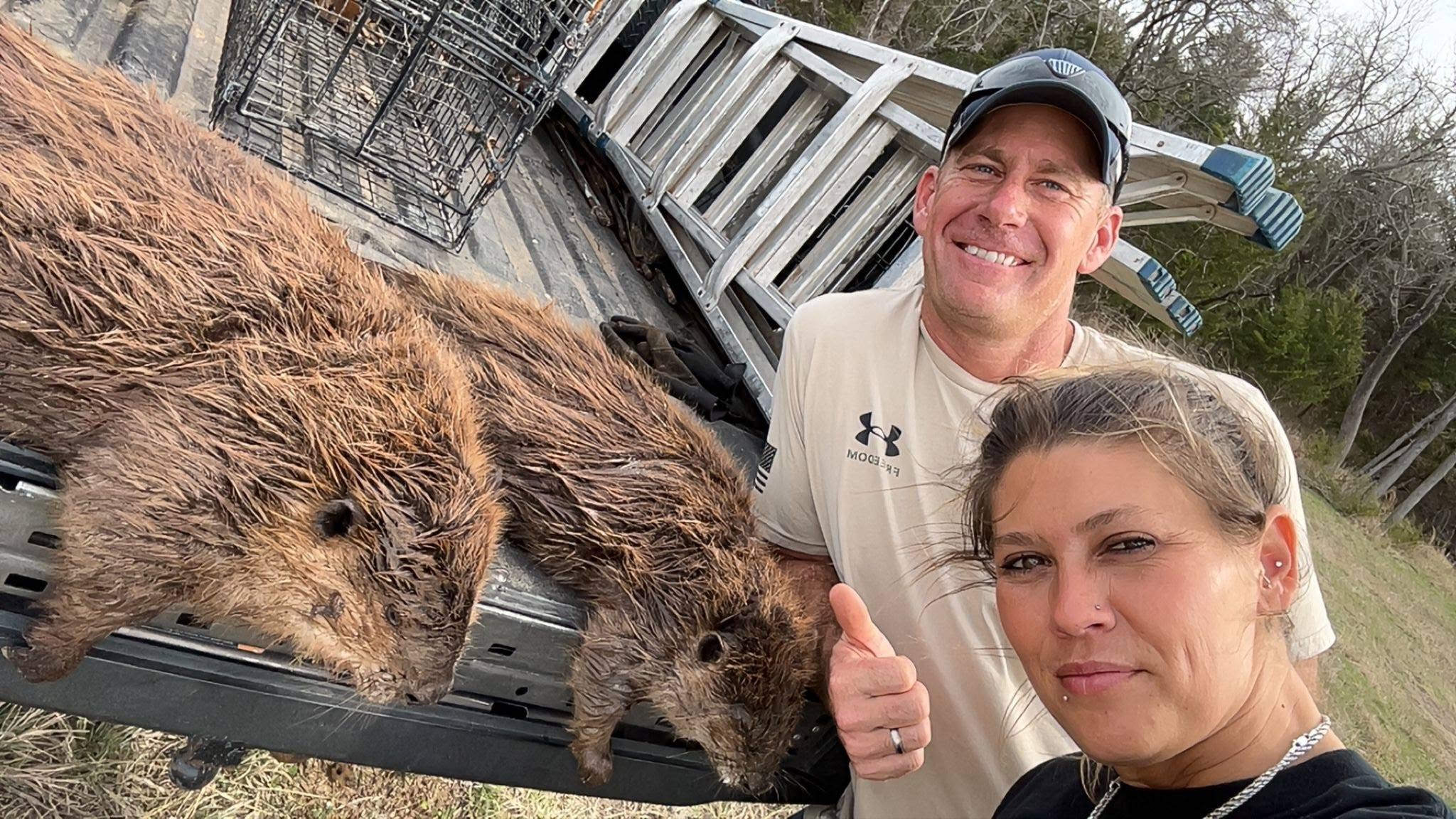 Man and woman smiling giving thumbs up next to pickup truck bed containing two large captured beavers with wet brown fur and flat tails