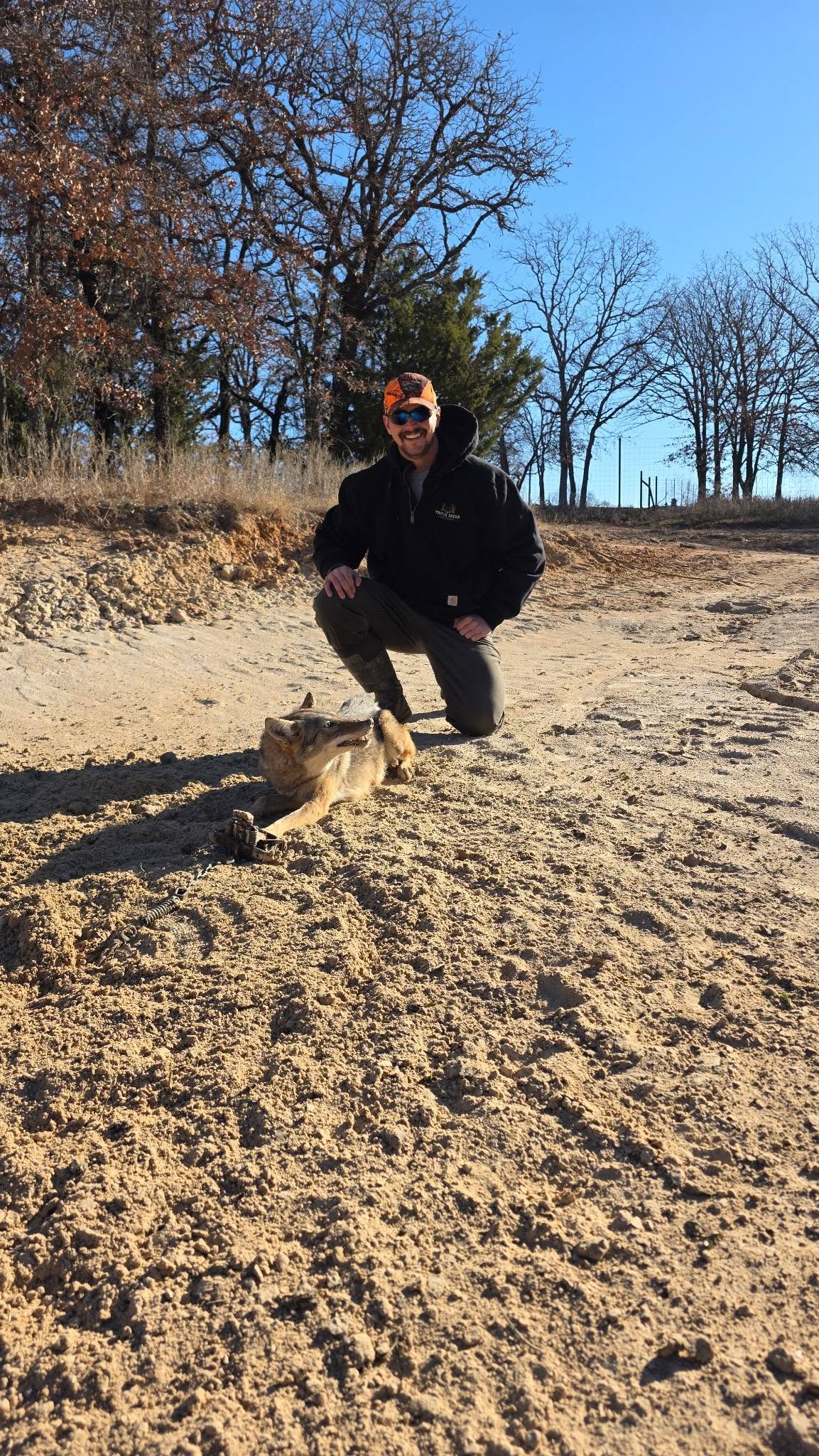 Lone Star Wildlife Solutions technician kneeling on sandy dirt ground with captured coyote lying at his feet wearing orange cap sunglasses black hoodie and green work pants bare trees in background