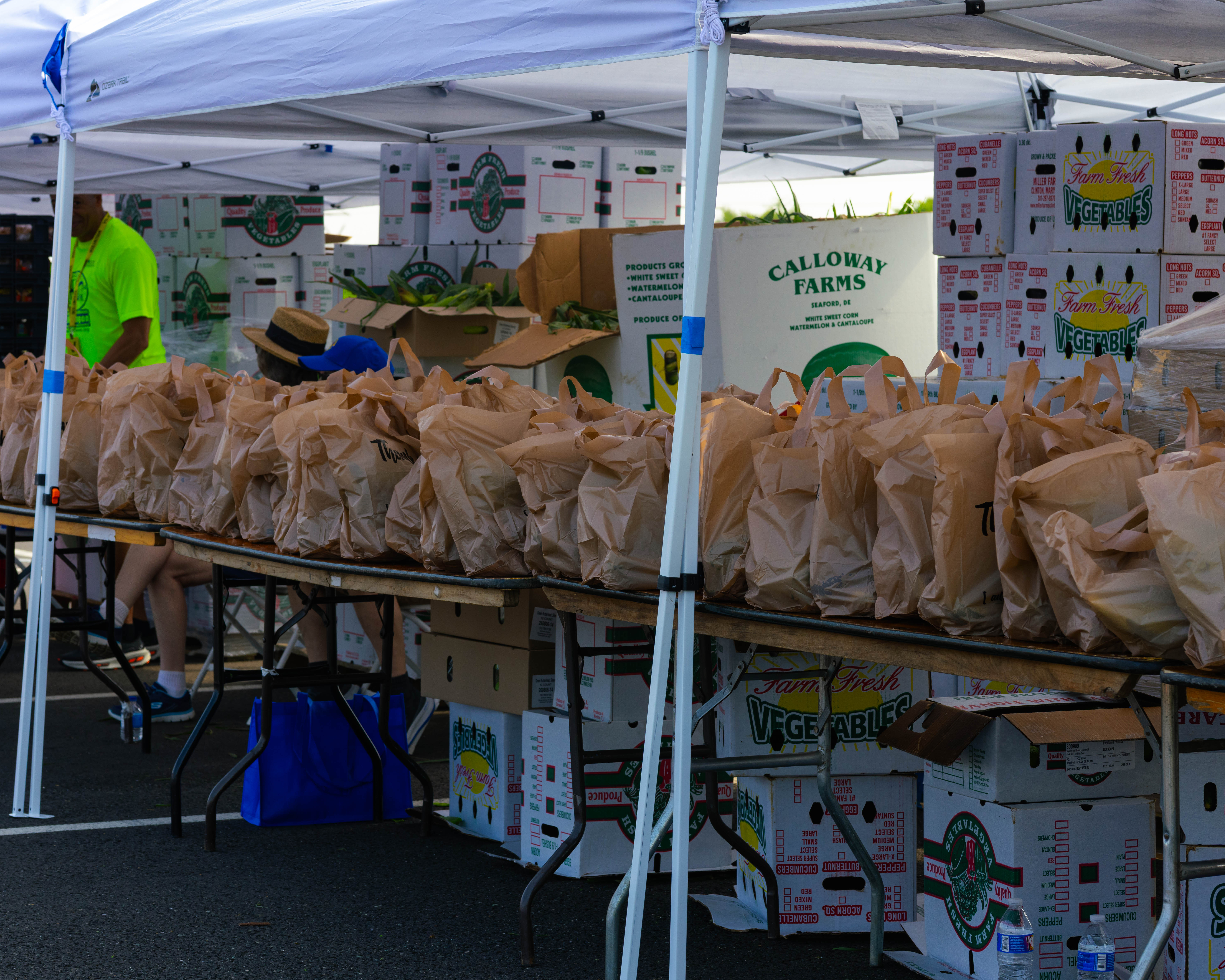 C.H.O.W. Wagon collecting fresh produce and resources at community distribution tables