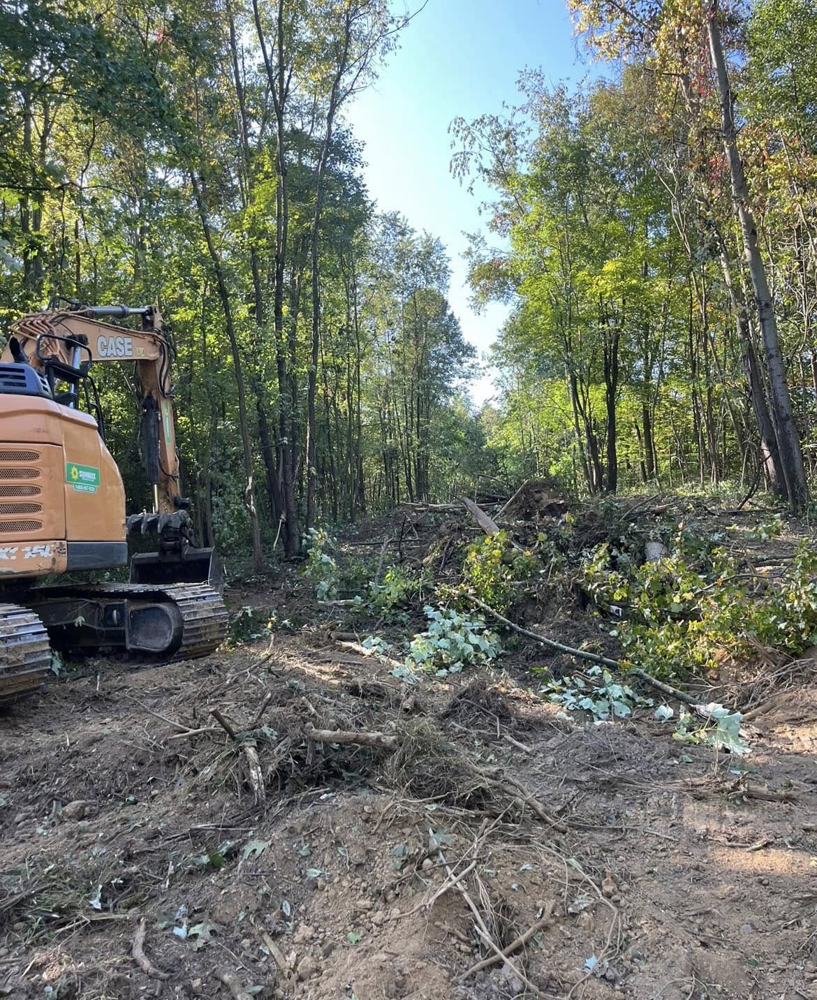 Land Clearing & Tree Removal - Xenia, OH