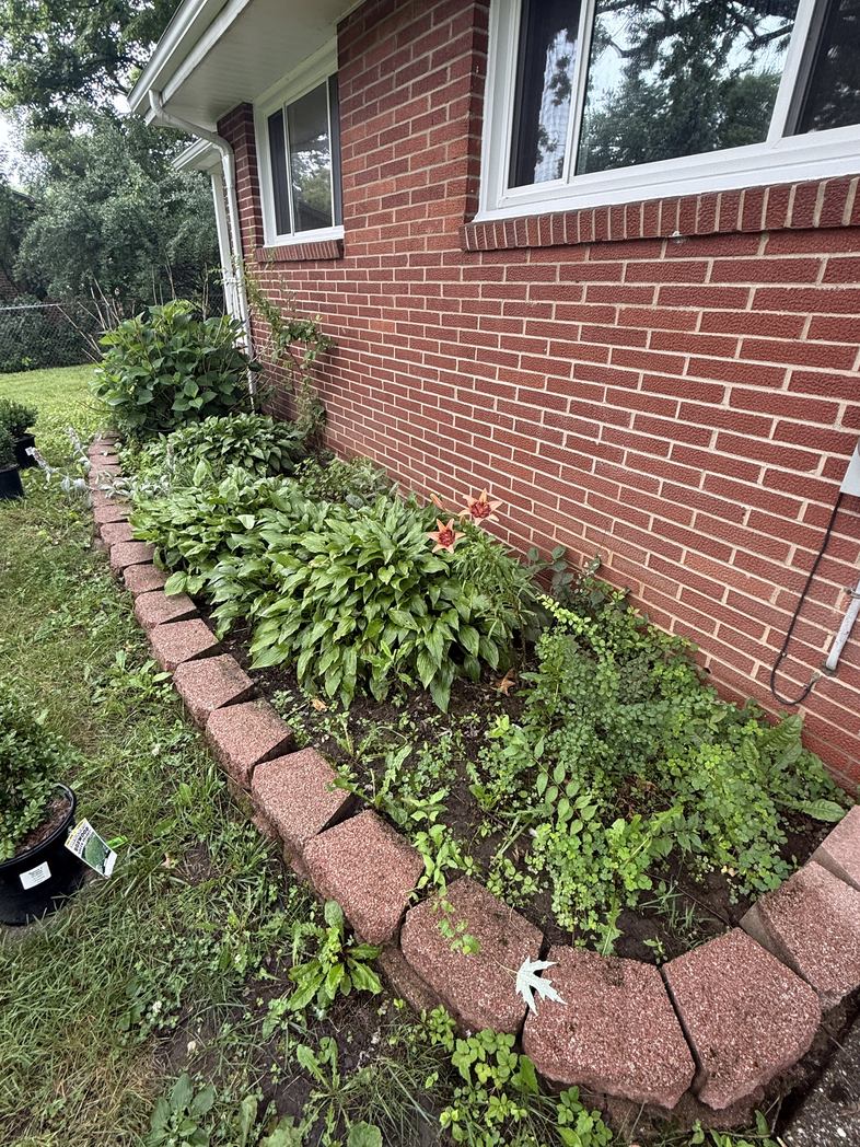 Mulching & Mulch Installation before — Weedy, overgrown beds with faded edging