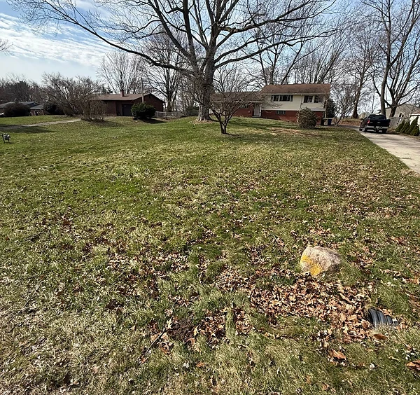 Seasonal Cleanup (Spring & Fall) before — Scattered leaves and winter debris