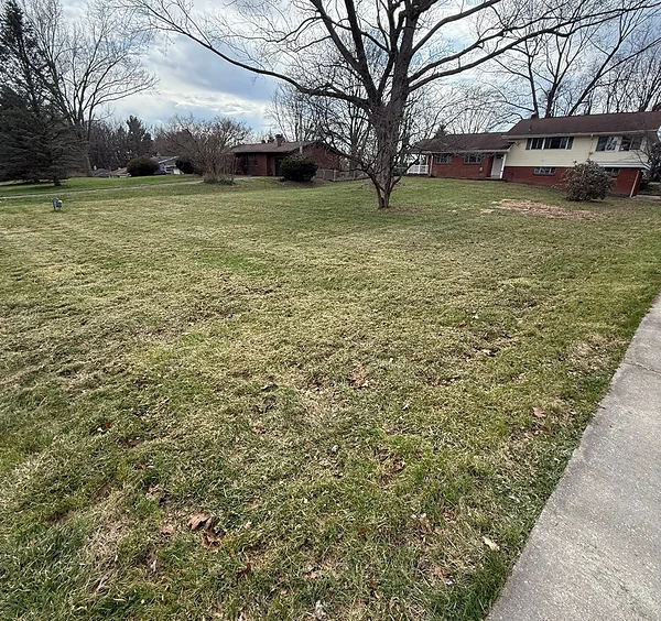 Seasonal Cleanup (Spring & Fall) after — clean, cleared lawn ready for spring