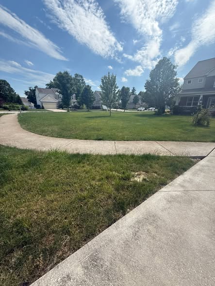 Lawn Mowing & Maintenance before — Overgrown, uneven lawn