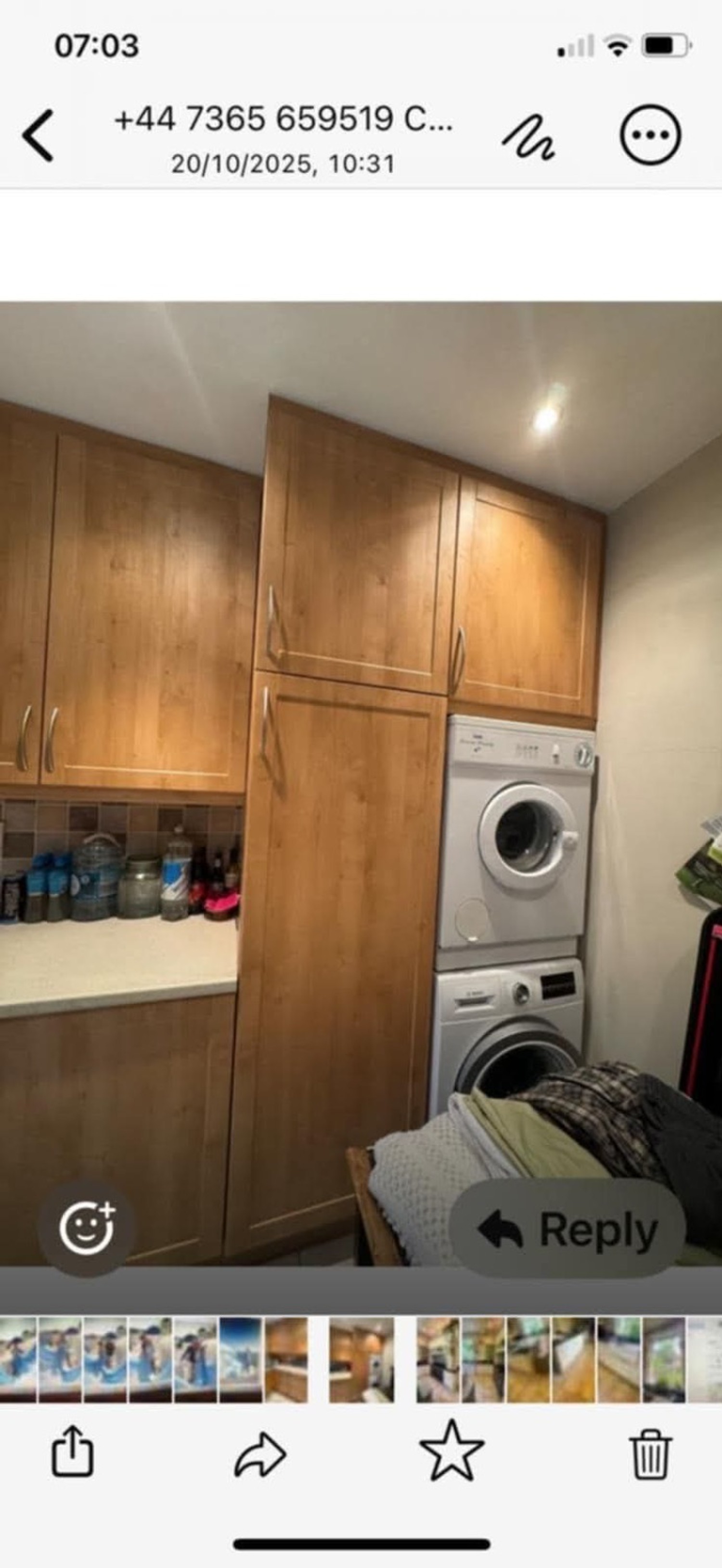 Utility Room — Wood to Sage Green Respray Before