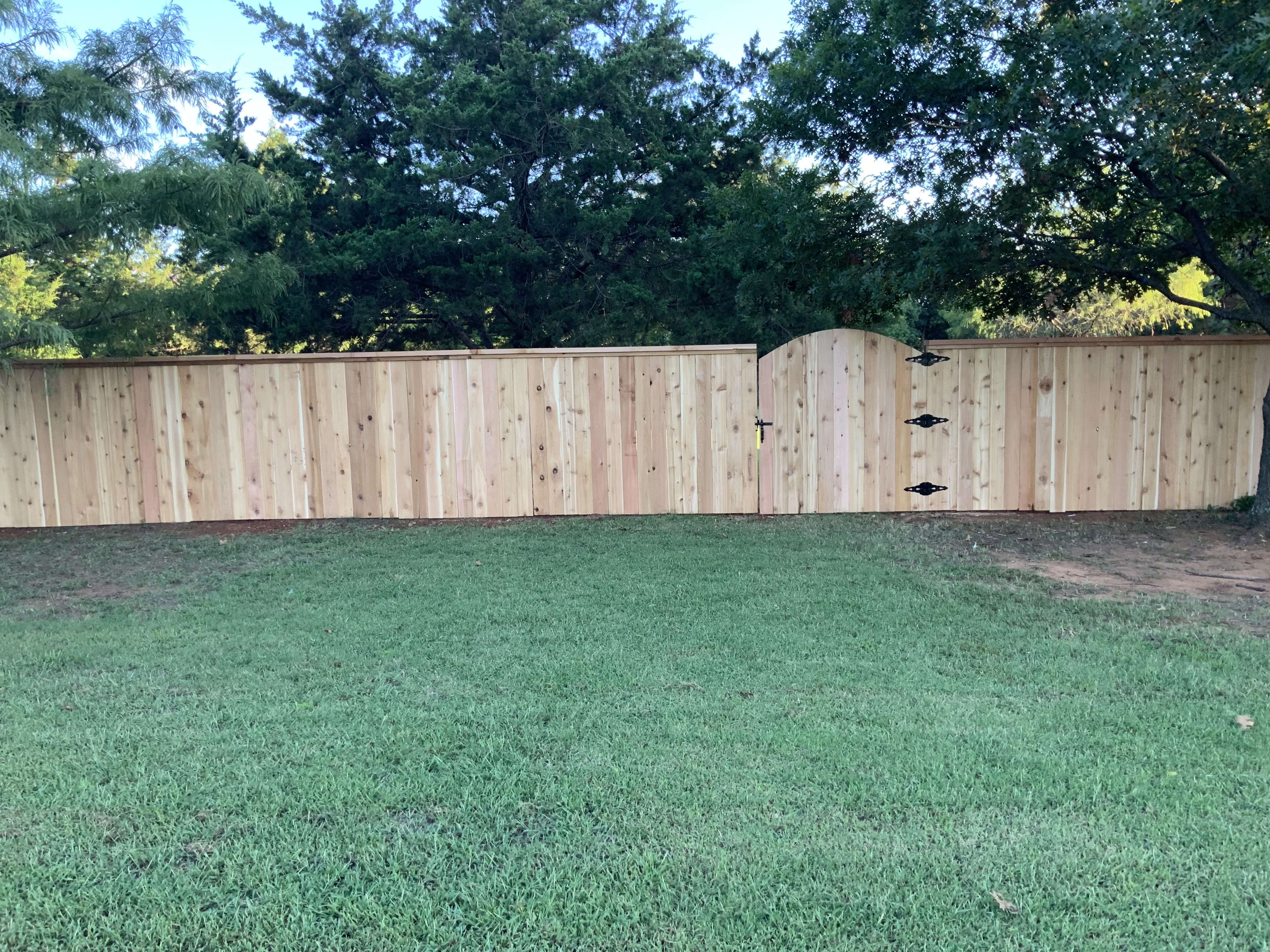 Custom Western Red Cedar board on board privacy fence with top cap and matching arched walk gate.