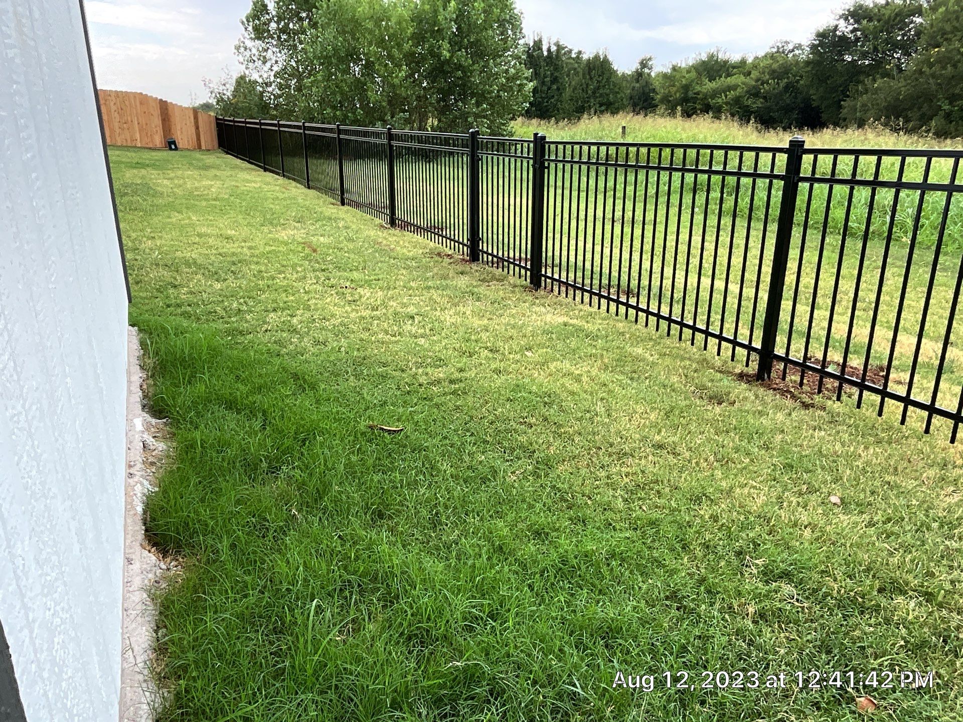 Black ornamental steel fence with top rail installed along an open green backyard.