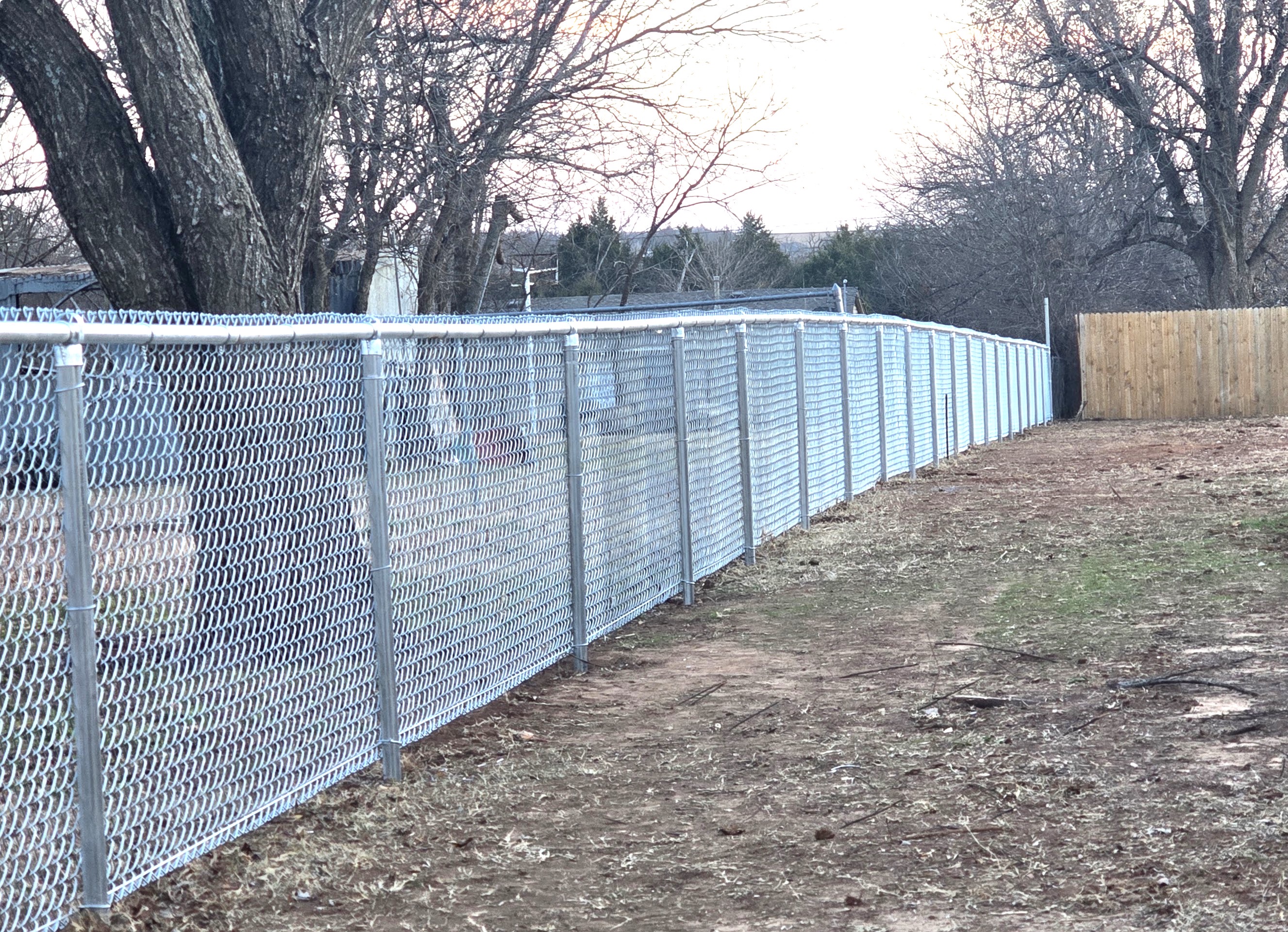 Galvanized residential chain link fence with top rail installed along a backyard perimeter.