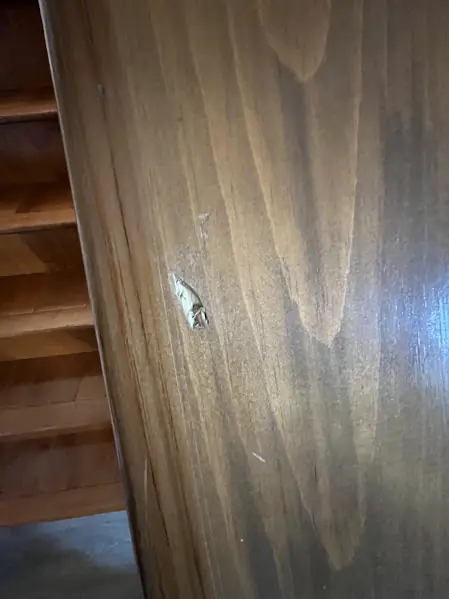 Before: Damaged Wood Surface