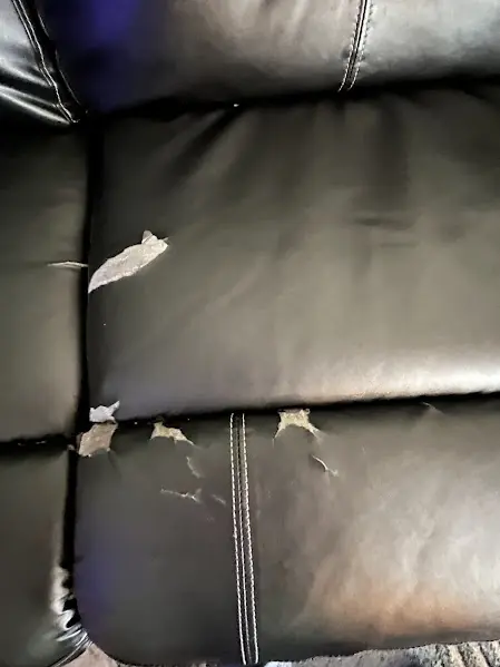 Before: Torn Leather Couch Cushions