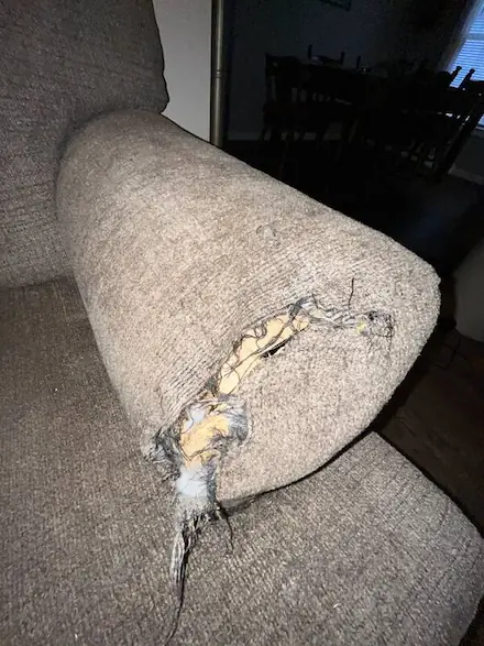 Before: Dog-Chewed Sofa Arm