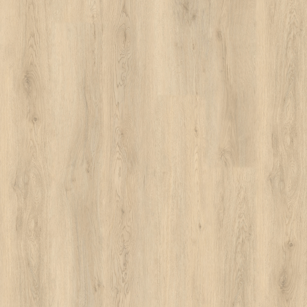 Coffee Cream