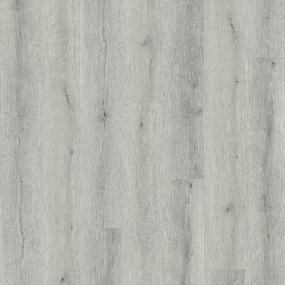 Plata Oak