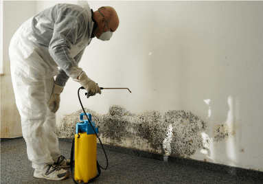 SunCoast Restoration technician performing mold remediation services