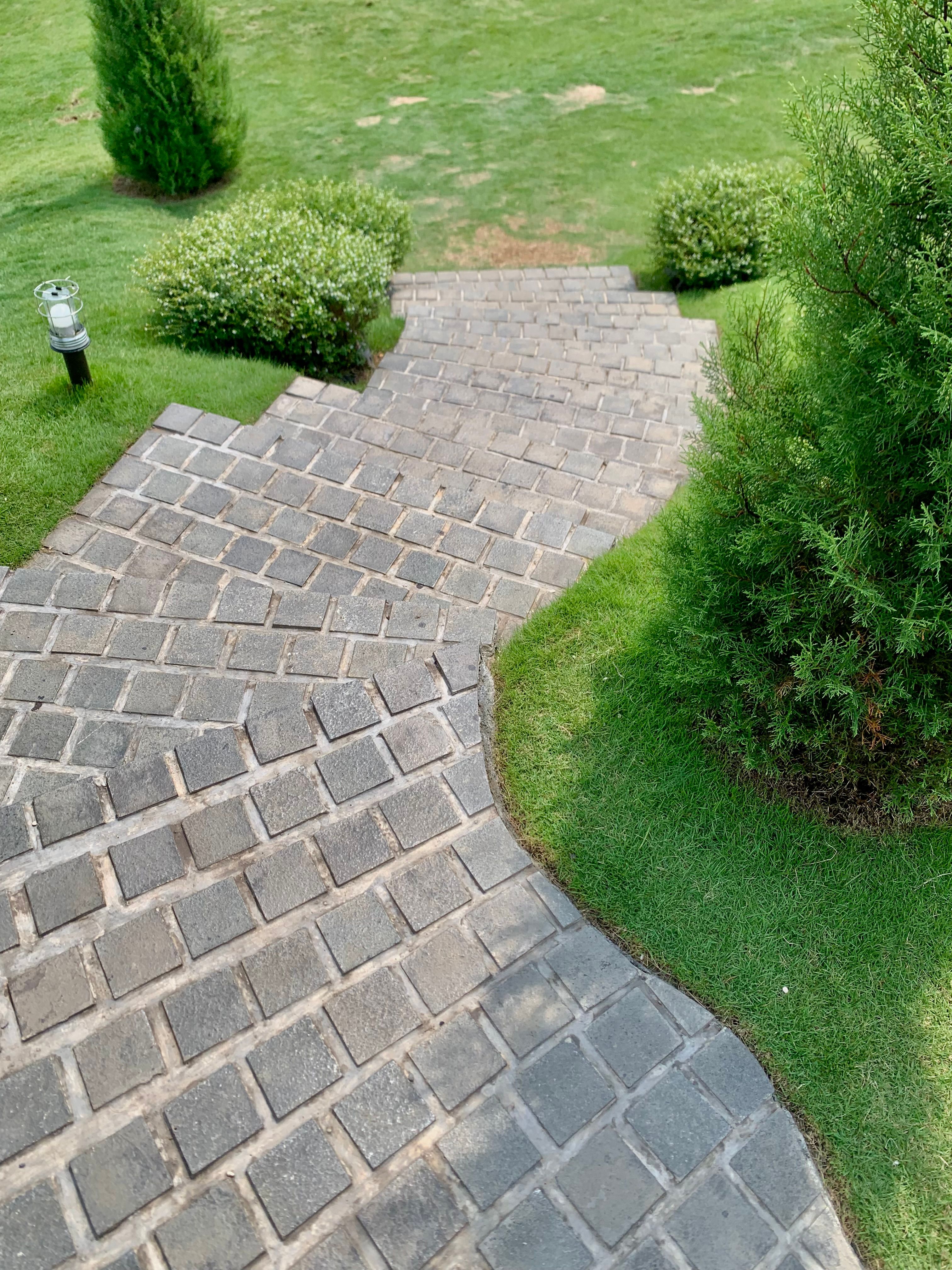 Lawn Maintenance — Blue Robin Tree & Lawn Service
