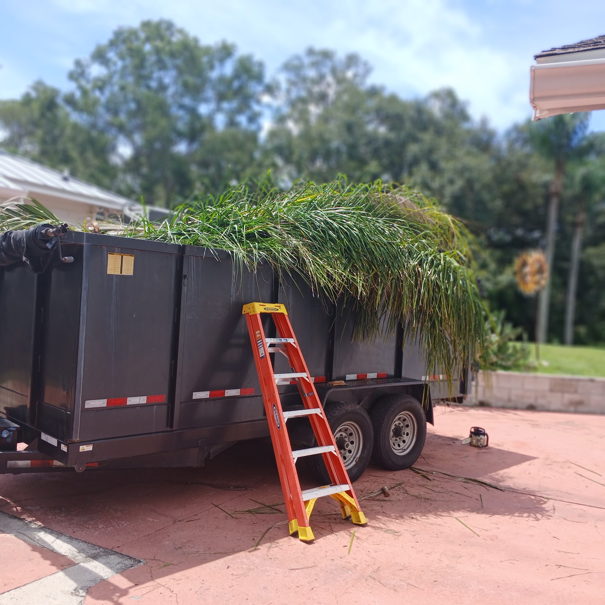 Debris haul-off — Tarpon Springs