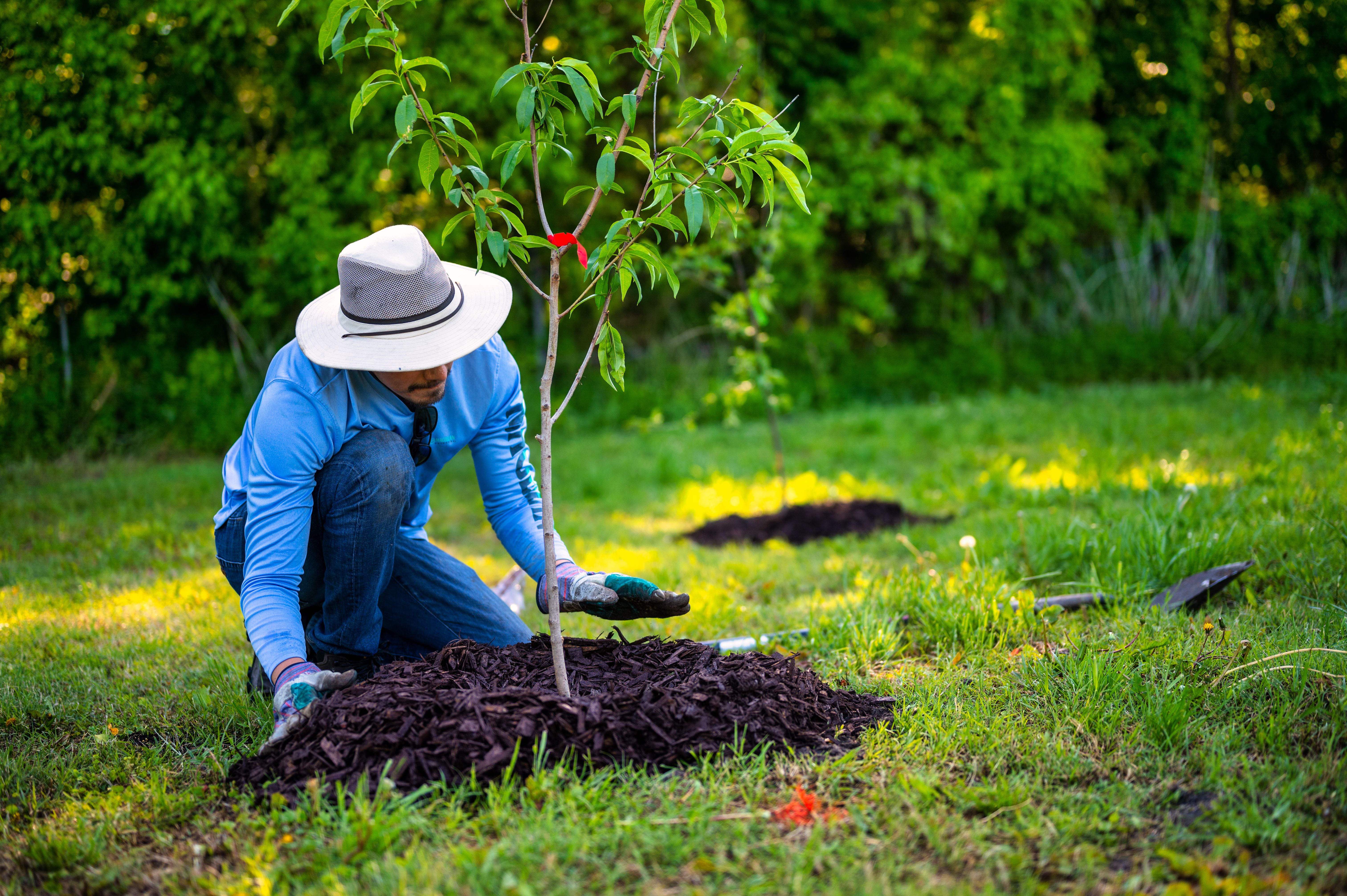 Mulch Installation — Blue Robin Tree & Lawn Service
