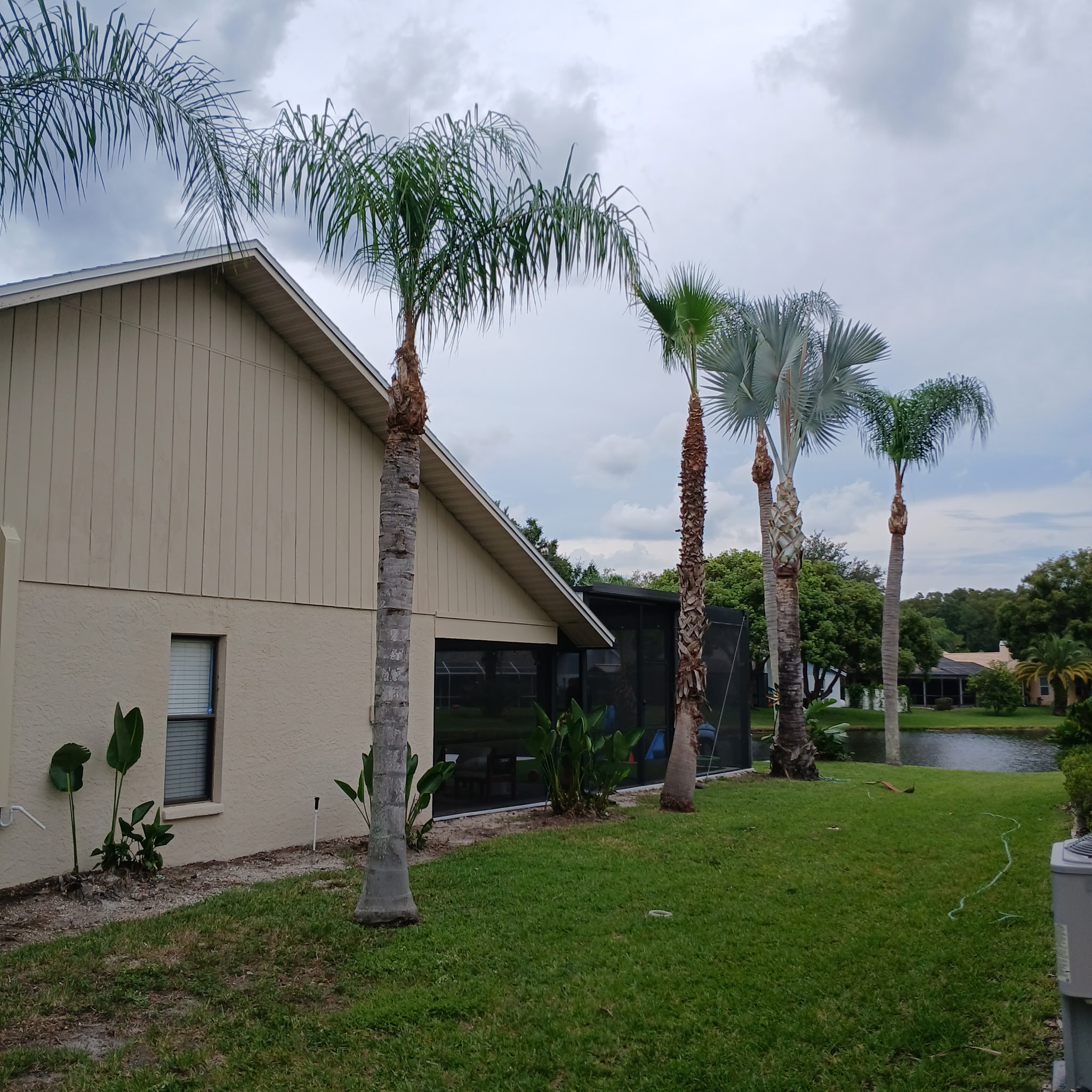 Residential landscaping — Port Richey