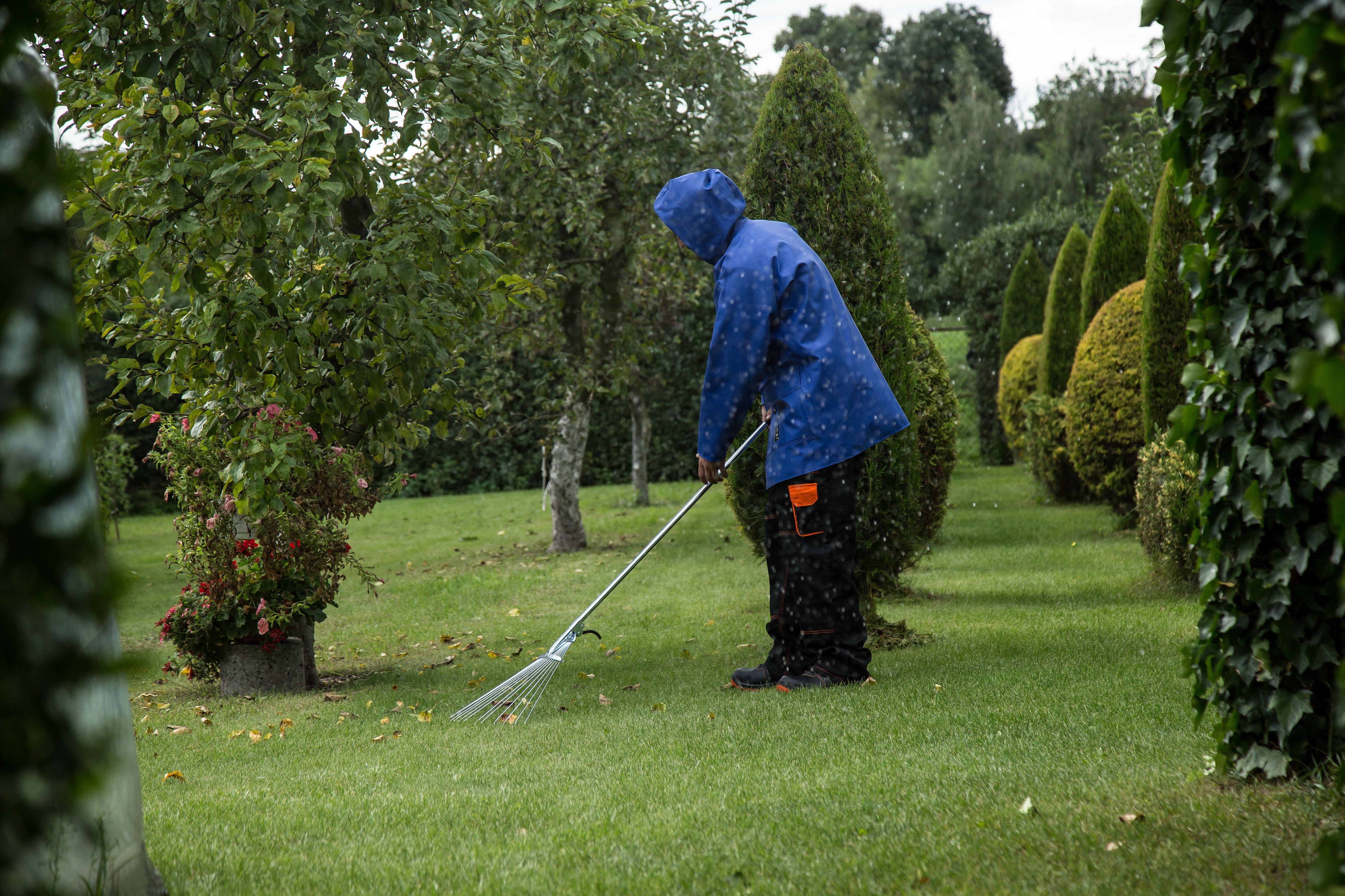 Yard Cleanups — Blue Robin Tree & Lawn Service