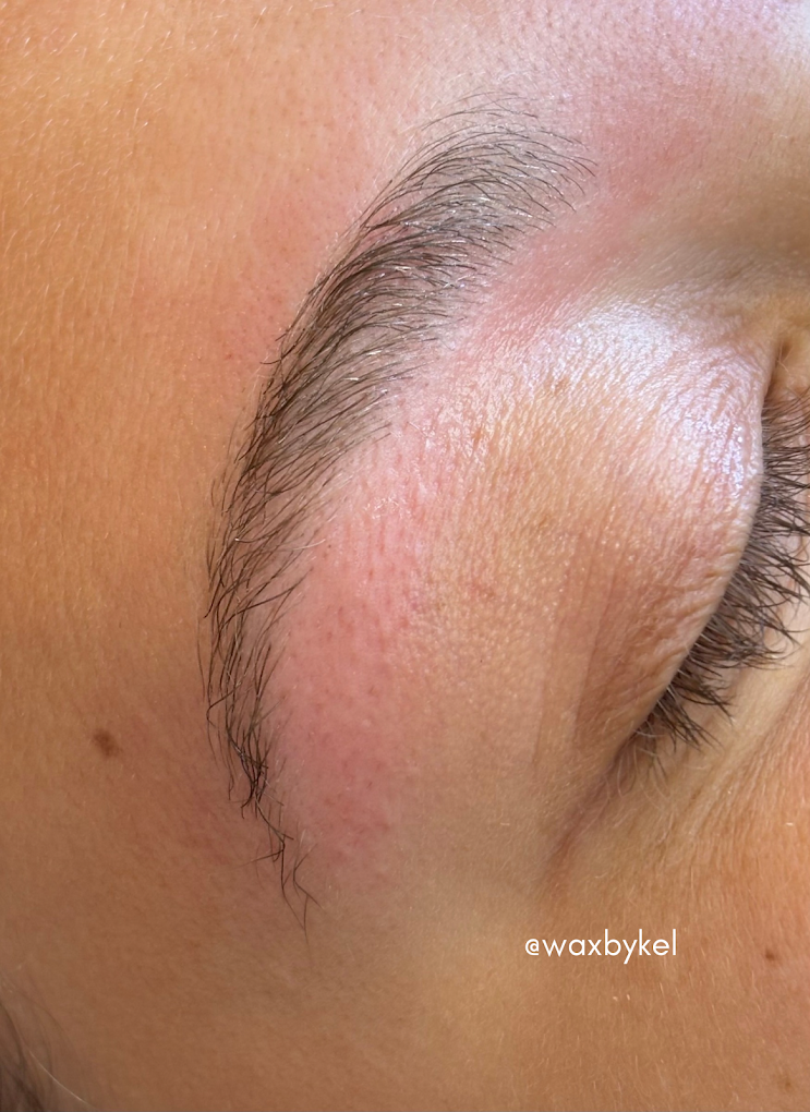 Brow lamination result — full, defined brows
