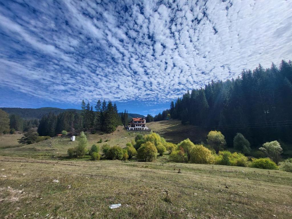 Панорамен изглед към Вила Дейзи Форест сред боровата гора