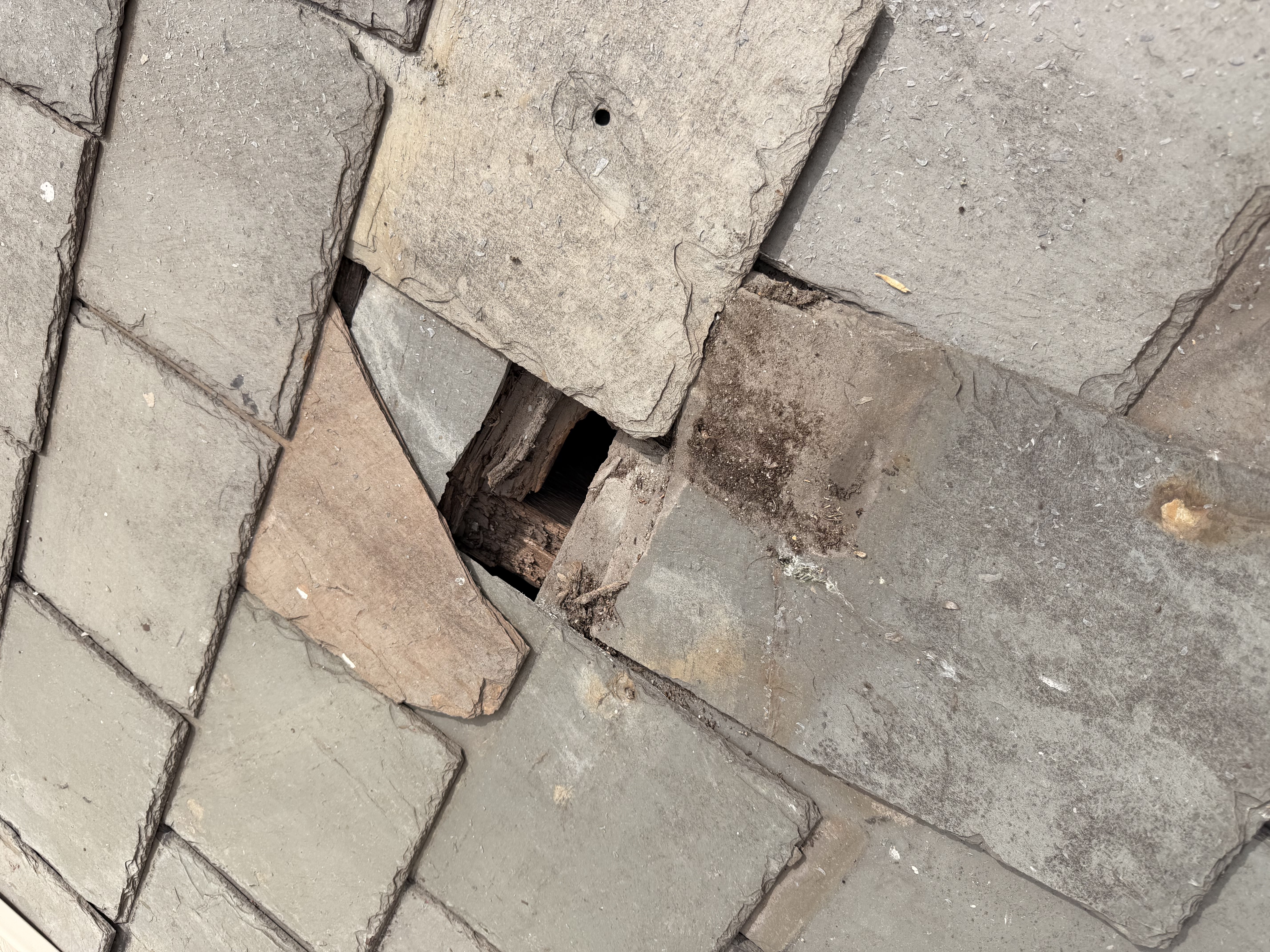 Damaged slate roof with missing tiles and exposed decking requiring immediate repair