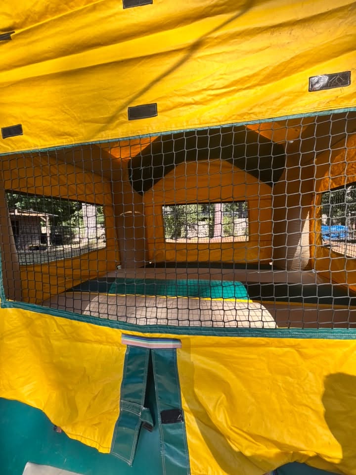 Ape-flatable Bouncer inflatable at a backyard event