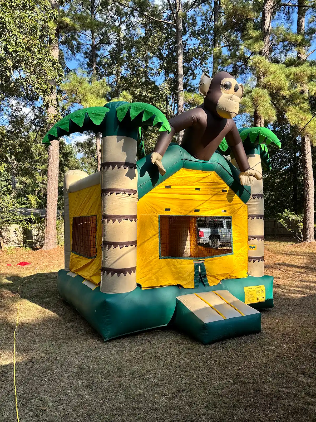 Ape-flatable Bouncer