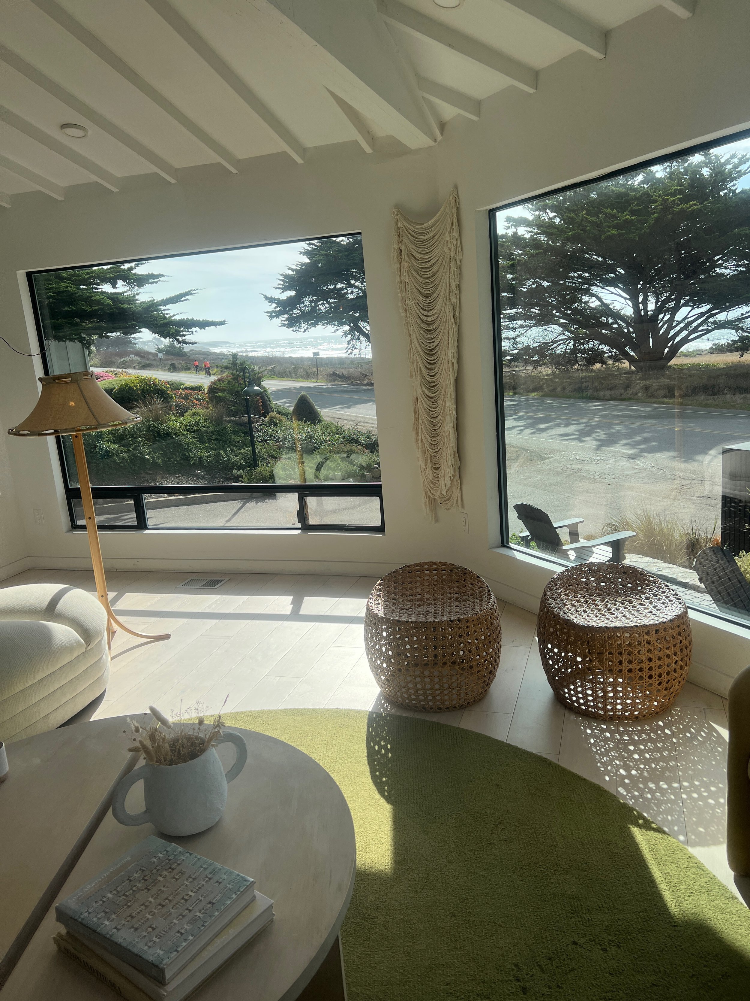 A Weekend With Dogs In California