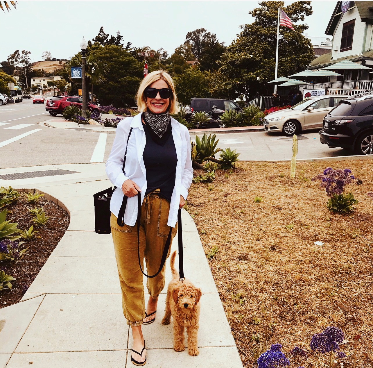 The First Week With a Goldendoodle Puppy: What Surprised Me Most