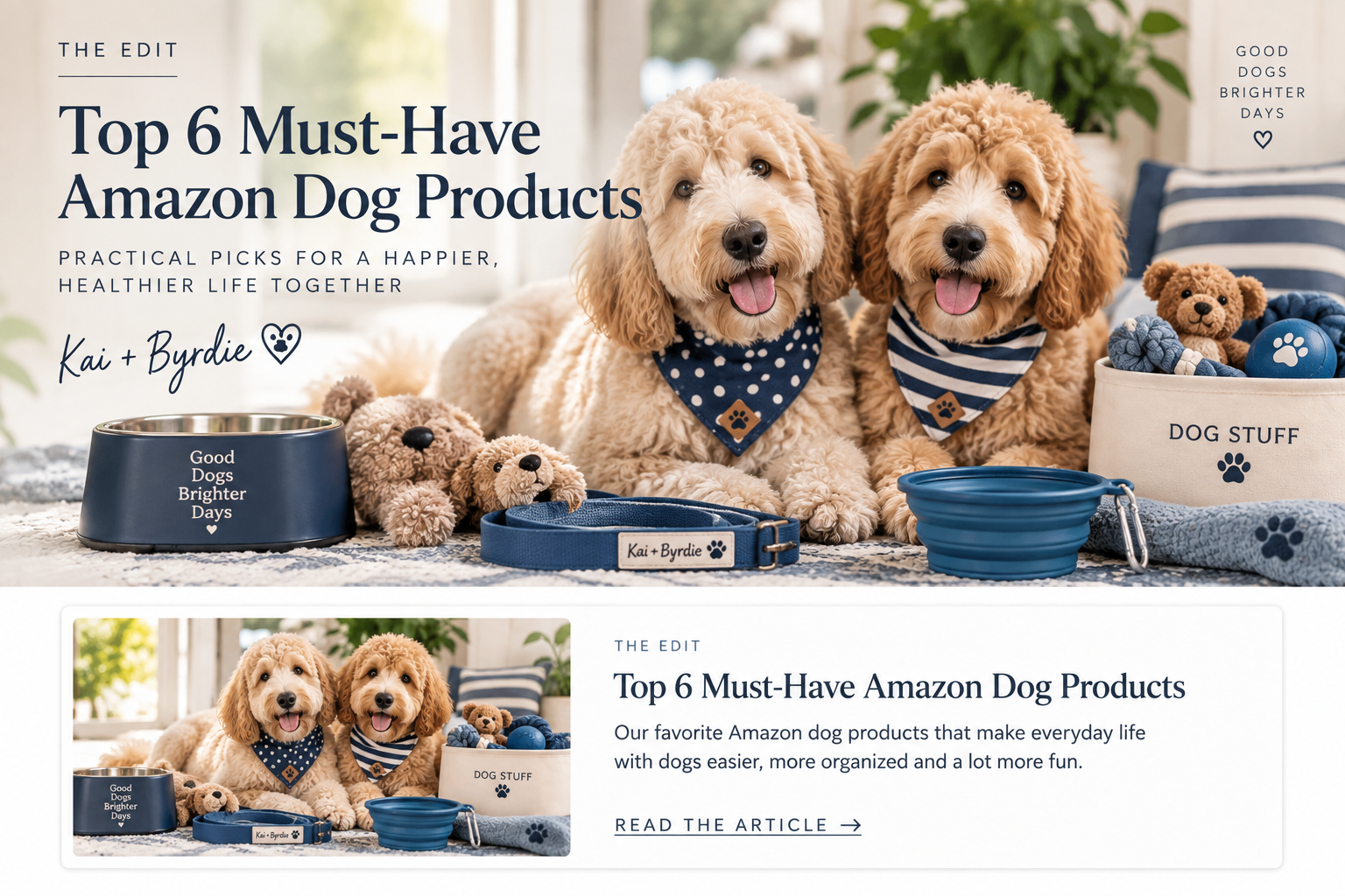 Top 10 Must-Have Amazon Dog Products for Your Furry Friend