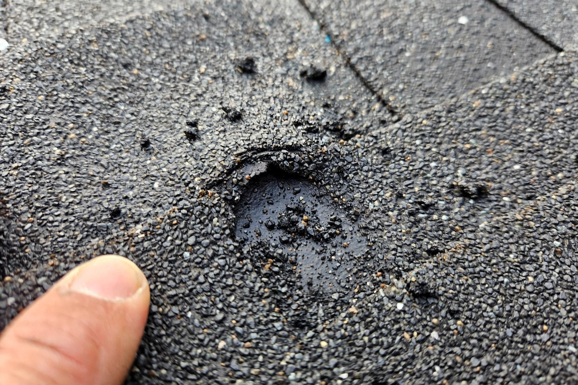 Close-up of a hail bruise on an asphalt shingle with a quarter for scale