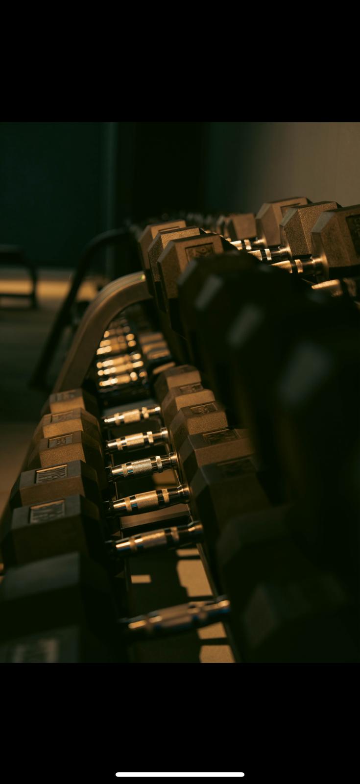 Mancuernas del gimnasio