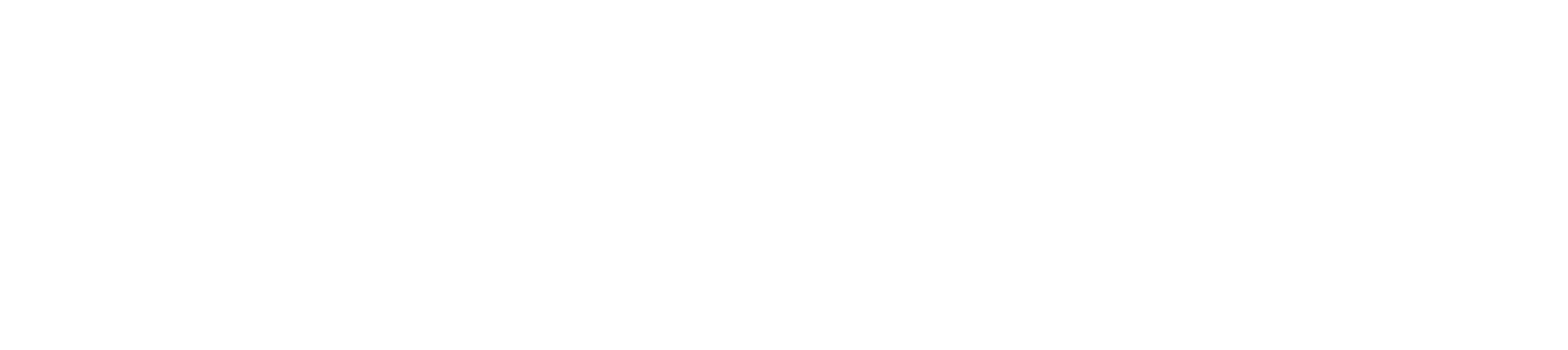 Digital Gurus