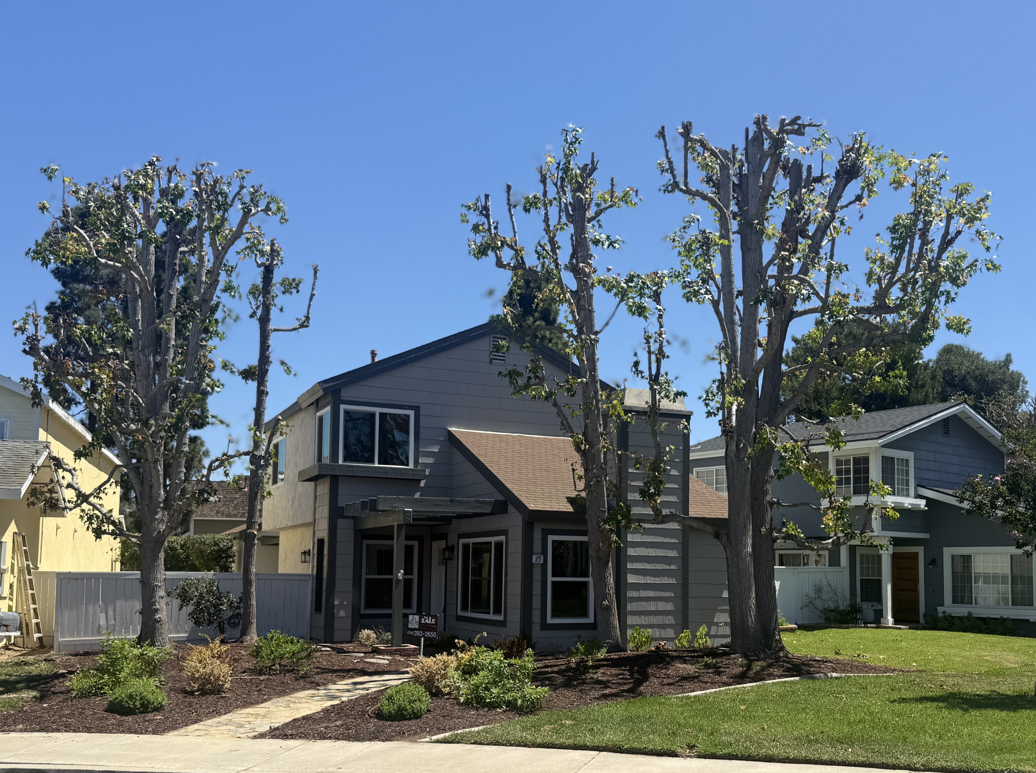 Sanchez Empire Gardening professional tree trimming work showing expertly pruned trees in front of a beautiful home