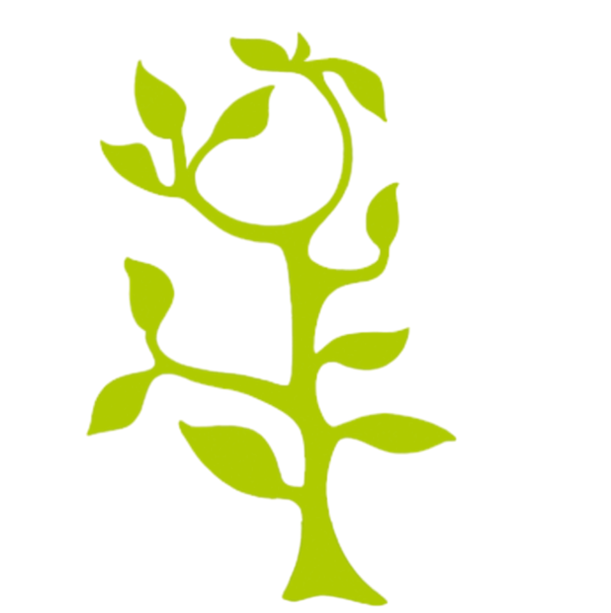 KITACOACH Logo – Birgit Jäger Coaching & Training