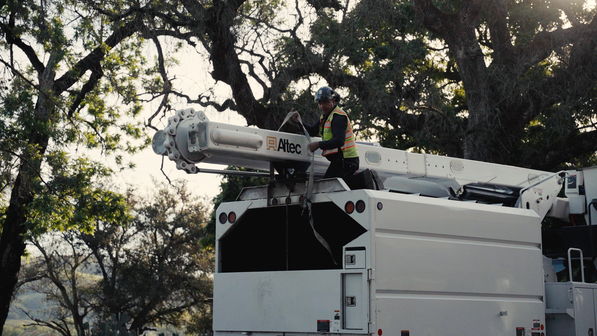 Vision Media crew filming Treels Inc tree service crew at work