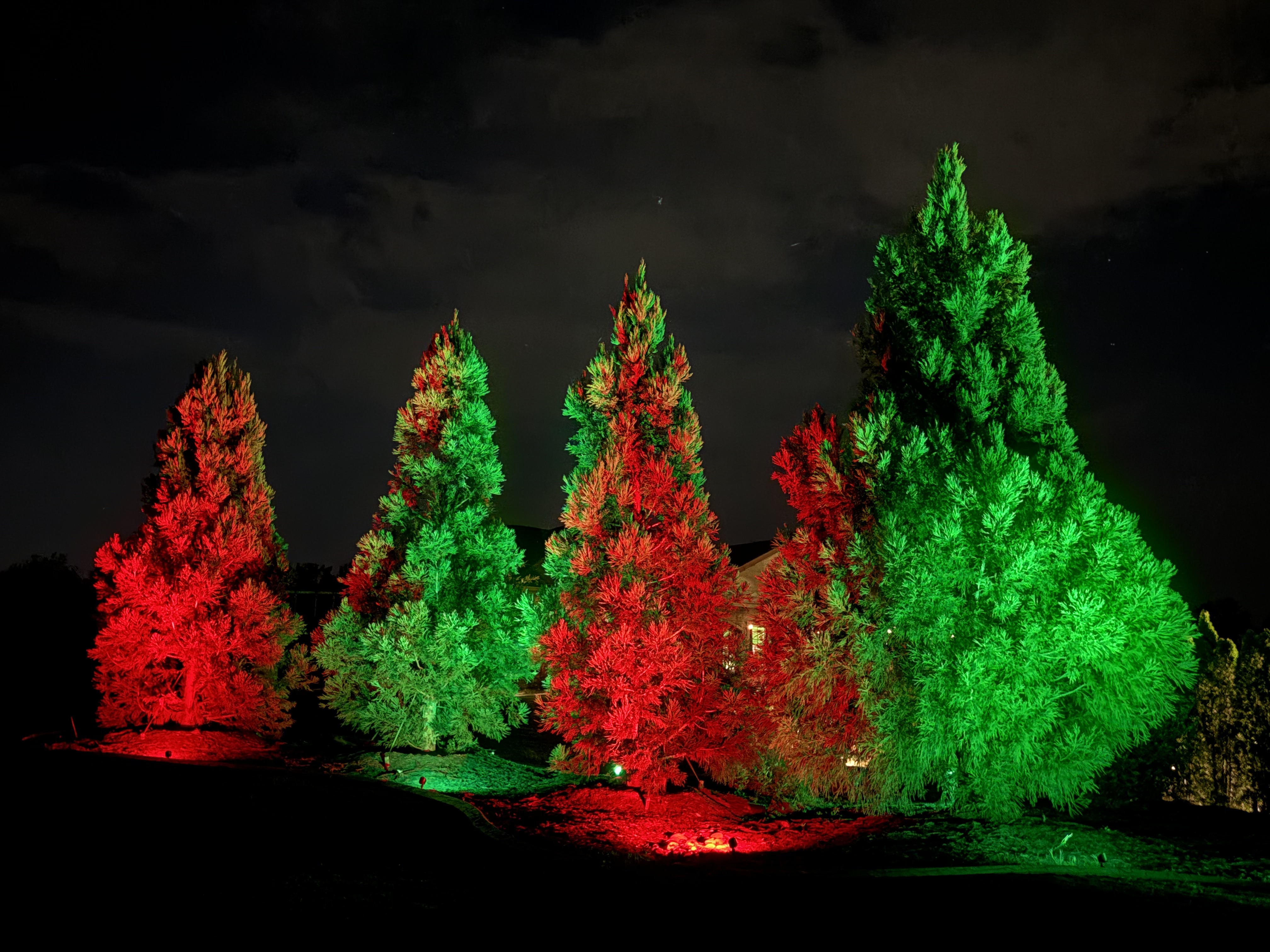 Festive red and green holiday RGB landscape lighting on evergreen perimeter trees in Upstate SC