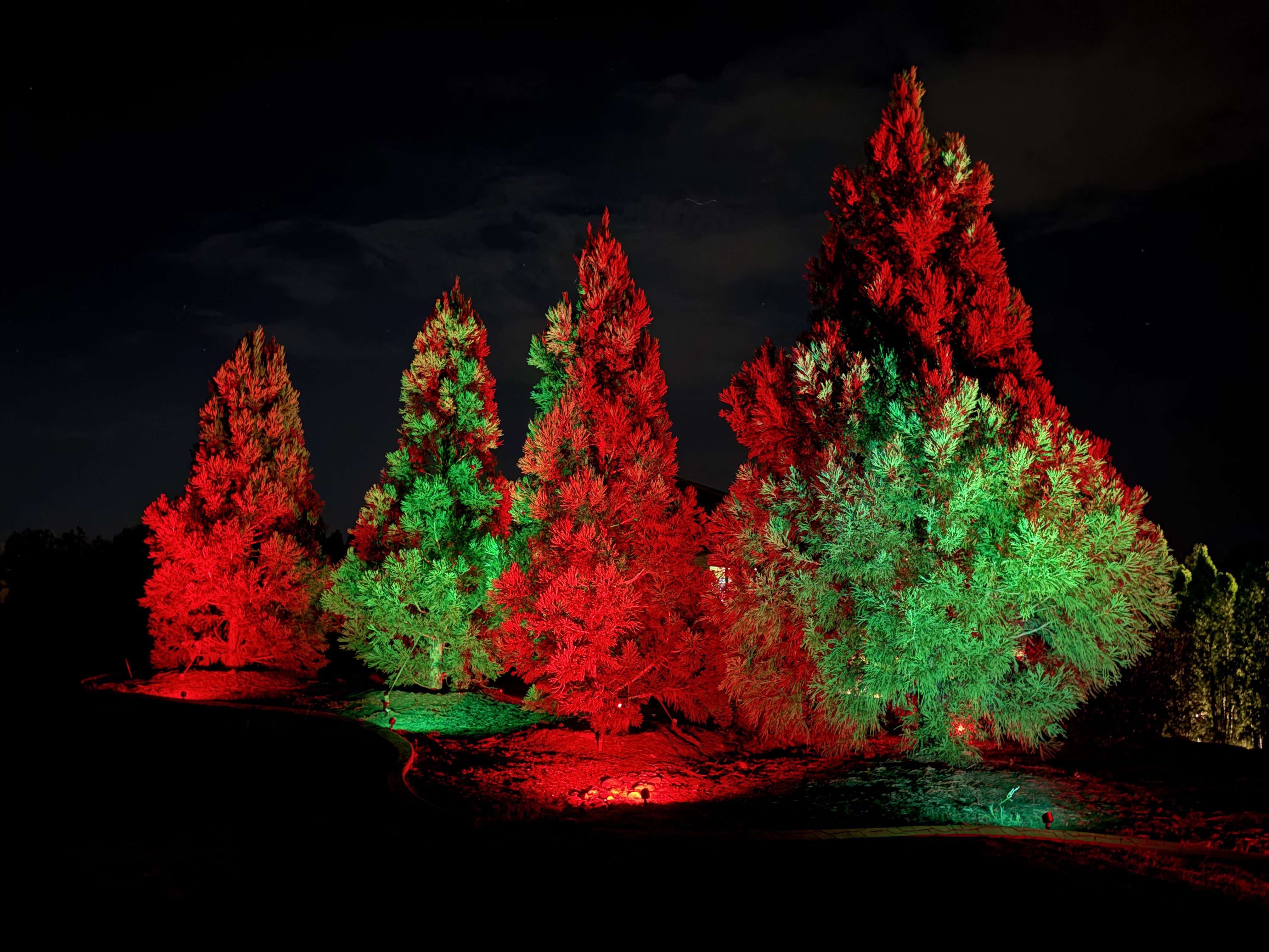 Alternating red and green holiday smart color tree uplighting illumination on estate landscape in Upstate SC